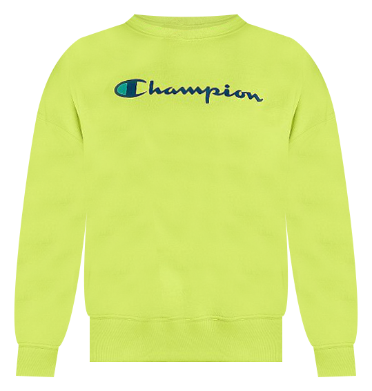 Champion Womens Powerblend Graphic Fleece Boyfriend India