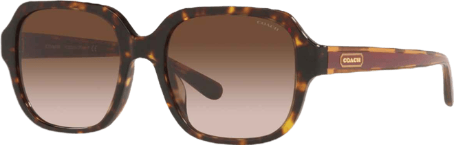 Women's Sunglasses, HC8335U C7989 53