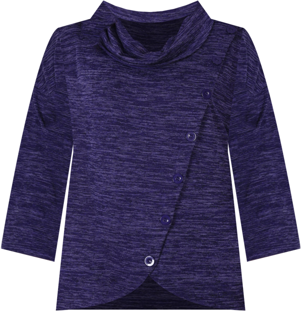 Women's Plus Size Long Sleeve Cowl Neck Top