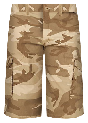 men's lee sur cargo shorts