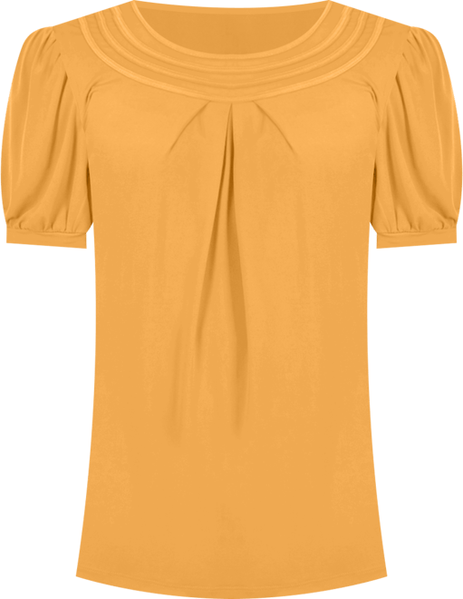 Women's Short Puff Sleeve Sheer Inset Top