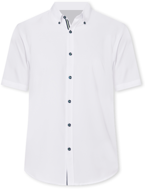 Men's Regular Fit Non-Iron Performance Stretch Solid Button-Down Shirt