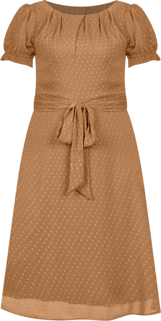 Petite Short Sleeve Belted Swiss Dot Dress