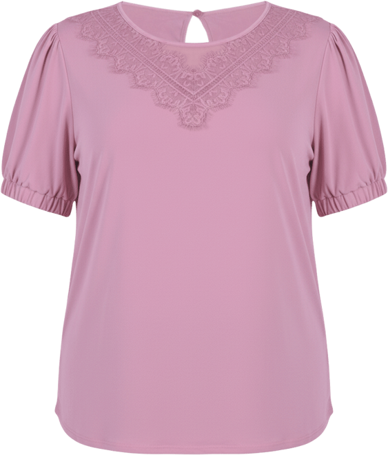 Plus Size Short Sleeve Top With Mesh and Lace