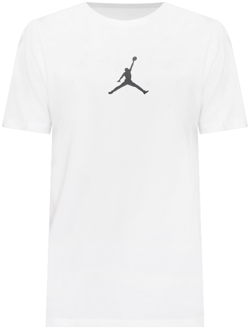 Jordan Jumpman T-Shirt (Herren)