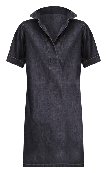 Lauren ralph lauren denim cotton hot sale shift dress