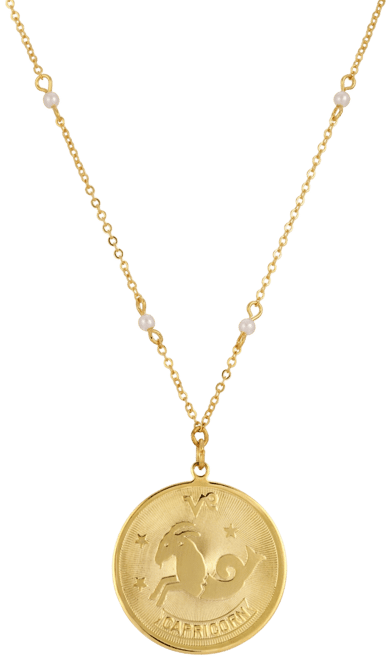 Women's Capricorn Pendant Necklace