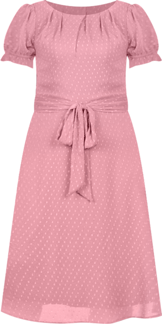 Plus Size Short Sleeve Belted Swiss Dot Dress