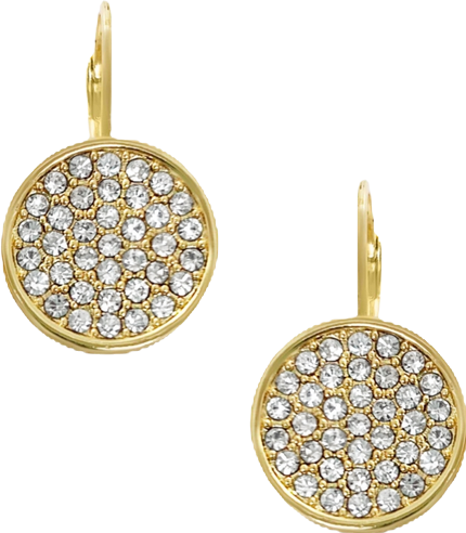 Gold-Tone Glass Stone Coin Pendant Leverback Earrings