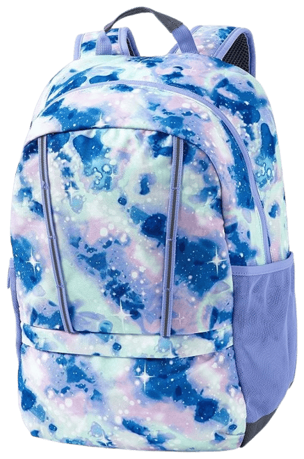 Lands end hotsell roller backpack