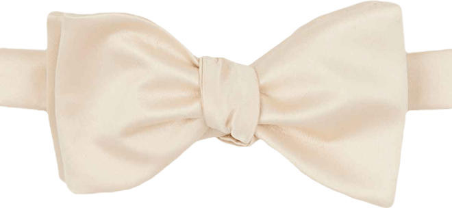 Men's Satin Self-Tie Bow Tie