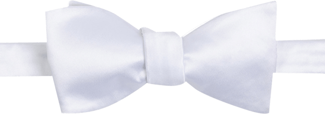 Men's Satin Self-Tie Bow Tie