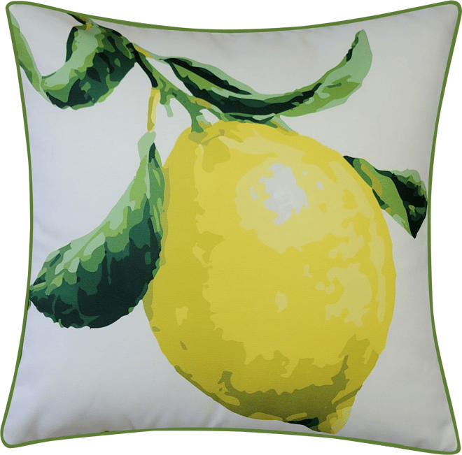 2pc Outdoor/indoor Large Chair Pad Set Lemon Tree Yellow - Pillow