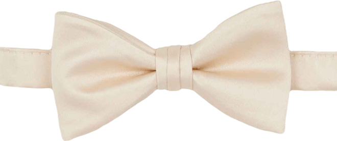 Men's Satin Pre-Tied Bow Tie