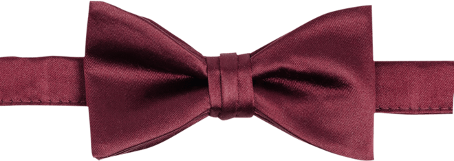 Men's Satin Pre-Tied Bow Tie