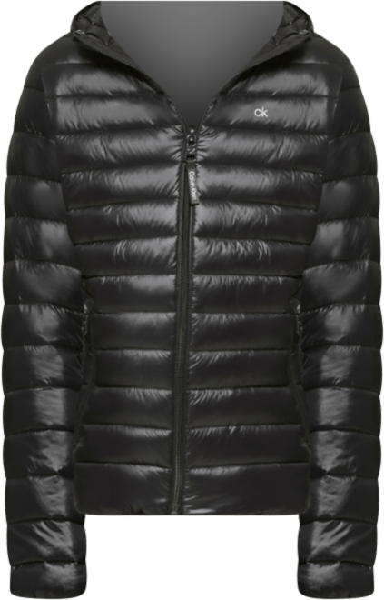 Men's Hooded & Quilted Packable Jacket