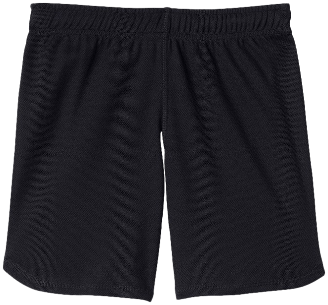 Boys 4-7 Lands' End School Uniform Mesh Athletic Gym Shorts