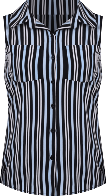 Women's Petite Sleeveless Notch Collar Button Front Blouse